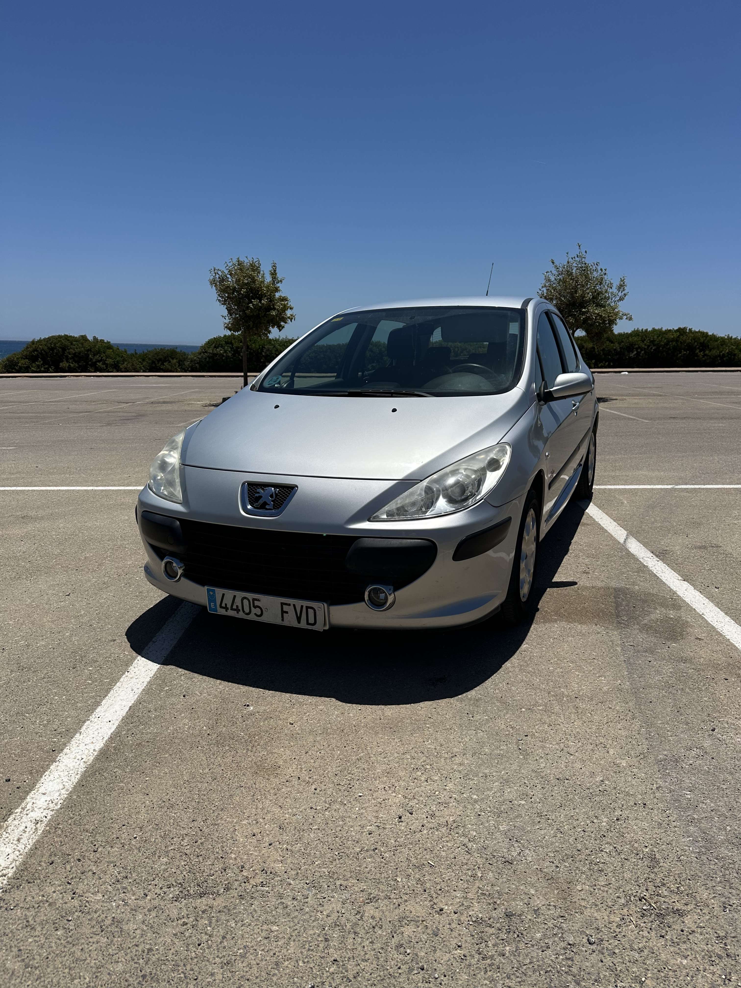 Peugeot 307 1.6 16v D-Sign - foto 1