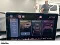 CUPRA Terramar VZ 1.5 e-Hybrid DSG Americas Cup Limited EditionLe Gris - thumbnail 14