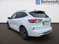 Ford Kuga 2,0 EcoBlue AWD ST-Line Aut. Weiß - thumbnail 3