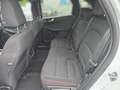 Ford Kuga 2,0 EcoBlue AWD ST-Line Aut. Weiß - thumbnail 7