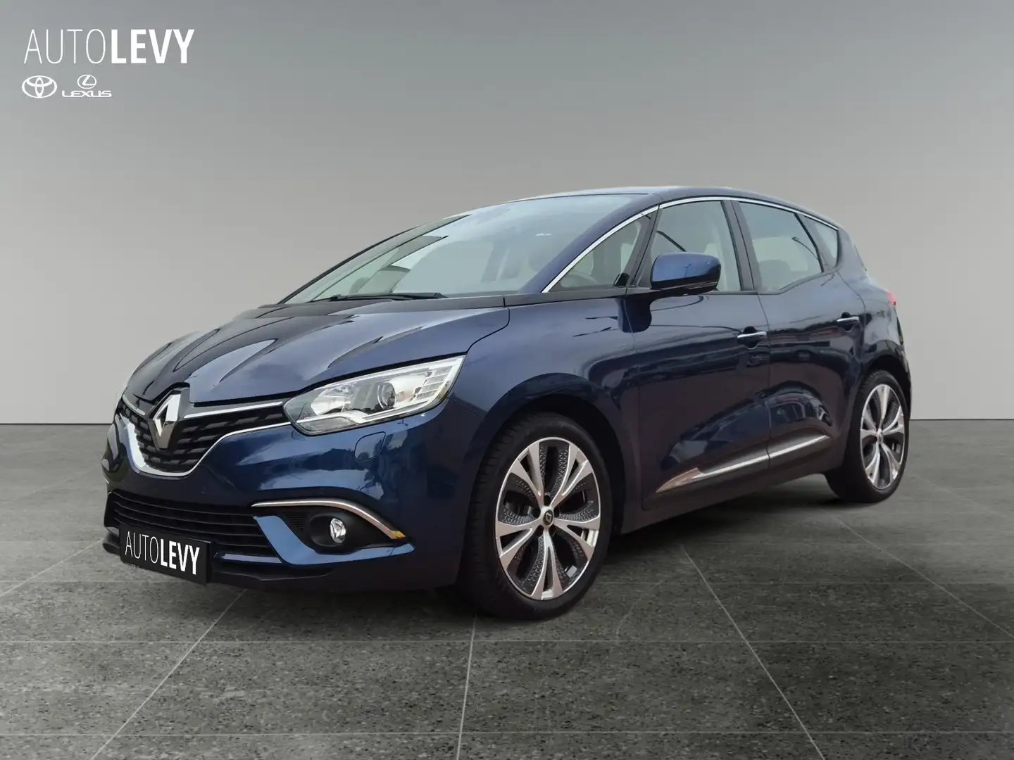 Renault Scenic IV 1.2 TCe 115 Energy Intens Sitzhzg*PDC Blu/Azzurro - 2