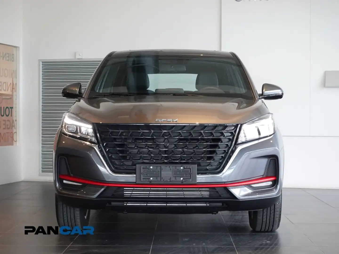 DFSK Fengon 500 Glory 500 1.5 Luxury Turbo GPL cvt auto Grau - 2