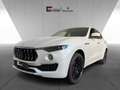 Maserati Levante GranLusso- 350 PS - Facelift & Maserati Approved Weiß - thumbnail 1
