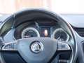 Skoda Octavia Ambition TDI Silber - thumbnail 14