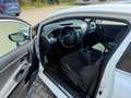 Kia Ceed / cee'd GT-Track Tüv & Service Neu 2 Hand Klima PDC Weiß - thumbnail 9