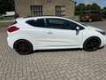 Kia Ceed / cee'd GT-Track Tüv & Service Neu 2 Hand Klima PDC Weiß - thumbnail 8