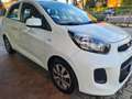 Kia Picanto Picanto II 2011 1.0 Active Collection Gpl 67cv 5p Bianco - thumbnail 2