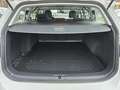 Volkswagen Golf VII TGI Variant Comfortli. R.Kamera PDC AHK Blanc - thumbnail 10
