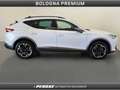 CUPRA Formentor 2.0 TDI 4Drive DSG Bianco - thumbnail 6