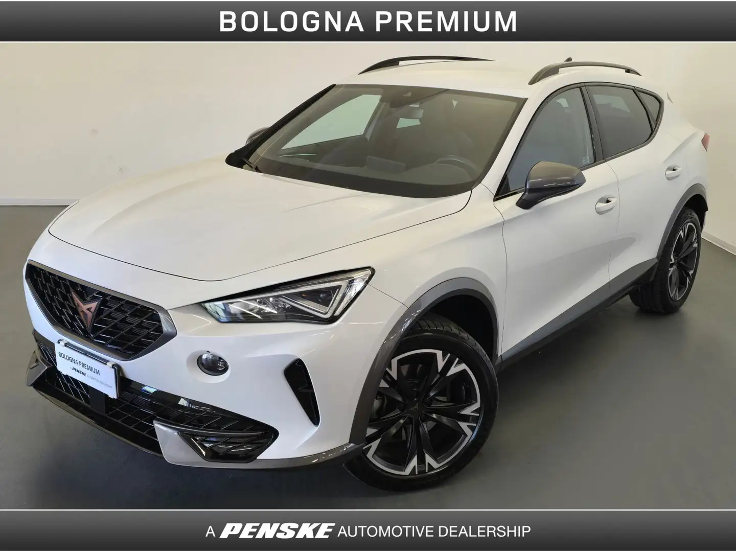 CUPRA Formentor 2.0 TDI 4Drive DSG Bianco - 1