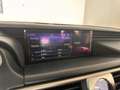 Lexus IS 300 300h Luxury Line | Camera | DAB+ | Leder | LED | o Blauw - thumbnail 30