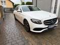 Mercedes-Benz E 300 E 300 de T-Modell Avantgarde Sportstyle Weiß - thumbnail 7