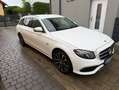 Mercedes-Benz E 300 E 300 de T-Modell Avantgarde Sportstyle Weiß - thumbnail 6