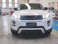 Land Rover Range Rover Evoque Range Rover Evoque 2.2 td4 Prestige 150 cv awd! Blanc - thumbnail 2