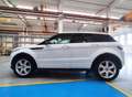 Land Rover Range Rover Evoque Range Rover Evoque 2.2 td4 Prestige 150 cv awd! Blanc - thumbnail 4