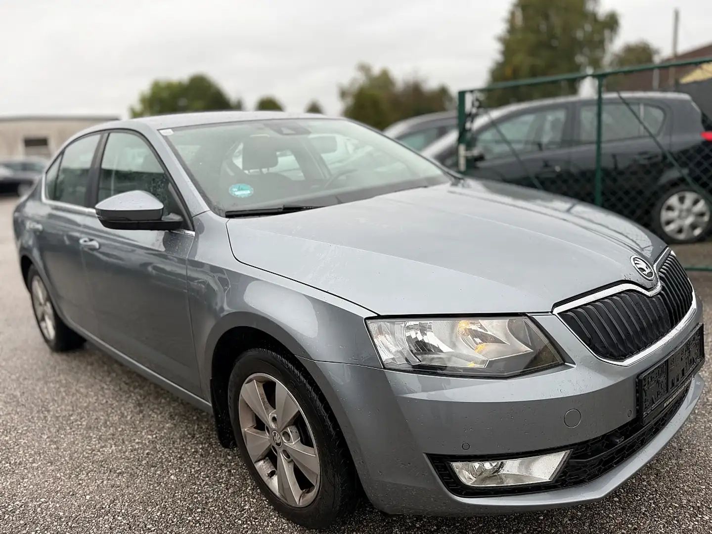 Skoda Octavia Grau - 2