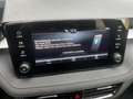 Skoda Fabia 1.0 TSI 115 PS DSG LED;PDC VO+HI; 5 JAHRE GARANTI Blau - thumbnail 26