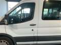 Ford Transit FT 350 EcoBlue Hybrid L3 Mixta Trend 130 Blanco - thumbnail 4