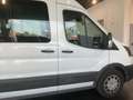 Ford Transit FT 350 EcoBlue Hybrid L3 Mixta Trend 130 Blanco - thumbnail 11