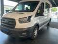 Ford Transit FT 350 EcoBlue Hybrid L3 Mixta Trend 130 Blanco - thumbnail 1