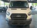 Ford Transit FT 350 EcoBlue Hybrid L3 Mixta Trend 130 Blanco - thumbnail 2