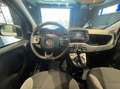 Fiat Panda 1.0 firefly hybrid City Life s&s 70cv 5p.ti Blanco - thumbnail 15