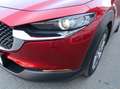 Mazda CX-30 *Sondermodell mit Top-Ausstattung in Bestzustand* Rouge - thumbnail 10