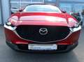 Mazda CX-30 *Sondermodell mit Top-Ausstattung in Bestzustand* Rouge - thumbnail 5
