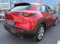 Mazda CX-30 *Sondermodell mit Top-Ausstattung in Bestzustand* Rouge - thumbnail 7