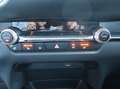 Mazda CX-30 *Sondermodell mit Top-Ausstattung in Bestzustand* Rouge - thumbnail 22