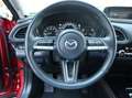 Mazda CX-30 *Sondermodell mit Top-Ausstattung in Bestzustand* Rouge - thumbnail 12