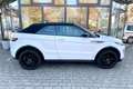 Land Rover Range Rover Evoque Cabrio TD4 SE Dynamic Білий - thumbnail 5