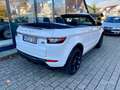 Land Rover Range Rover Evoque Cabrio TD4 SE Dynamic Білий - thumbnail 7