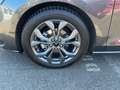 Ford Focus ST-Line X LED+AHK+Kamera+Winterpaket Grau - thumbnail 15