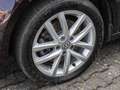 Volkswagen Caddy 2.0 TDI "Highline" DSG Navi Xenon ACC EPH Violet - thumbnail 5