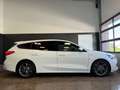 Ford Focus 1.5 EcoBlue ST-Line | ACC | LED | AHK | mtl. ab 1 Weiß - thumbnail 8