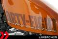Harley-Davidson Sportster XL 1200 48 FORTY EIGHT - MILLER - thumbnail 13