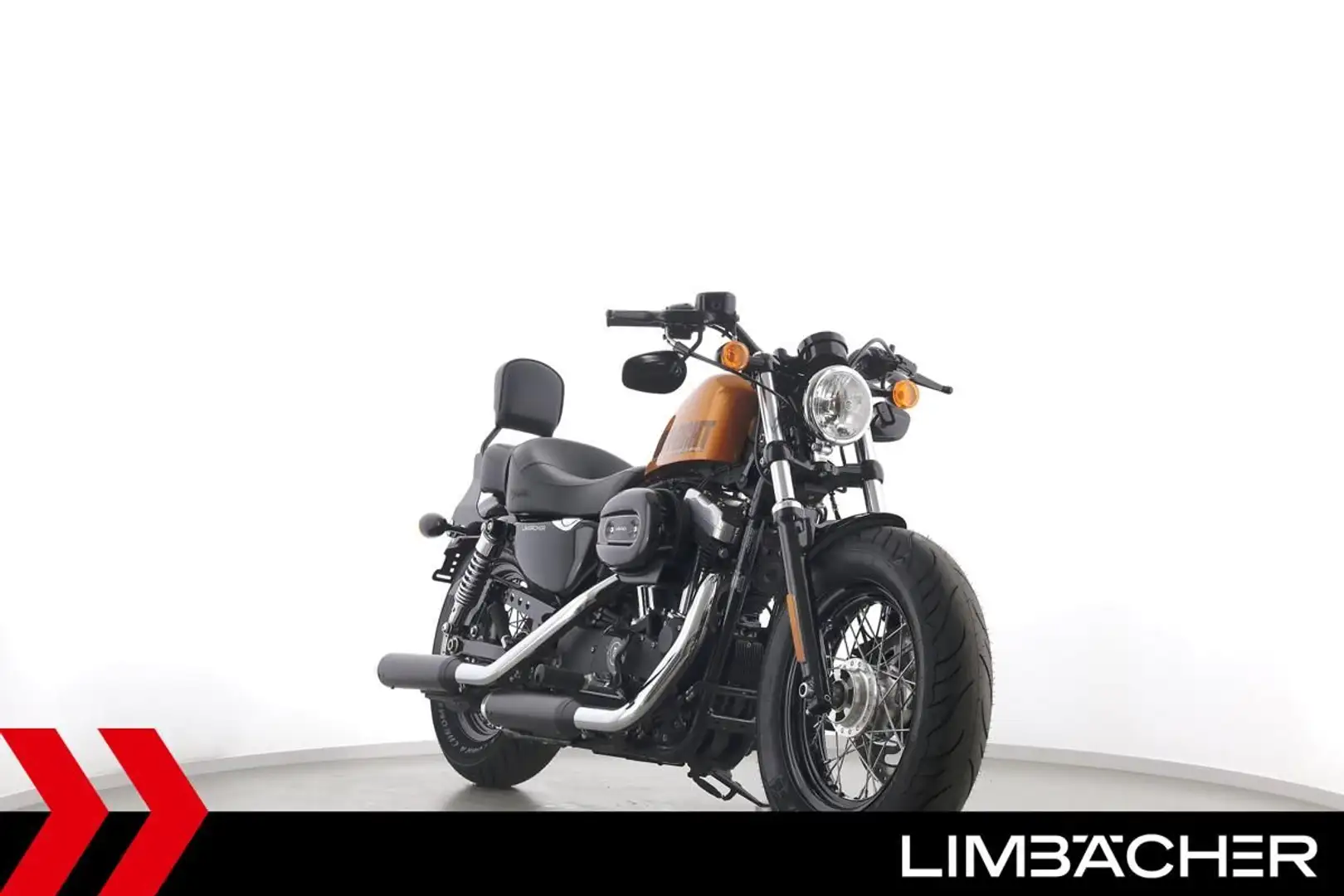 Harley-Davidson Sportster XL 1200 48 FORTY EIGHT - MILLER - 2