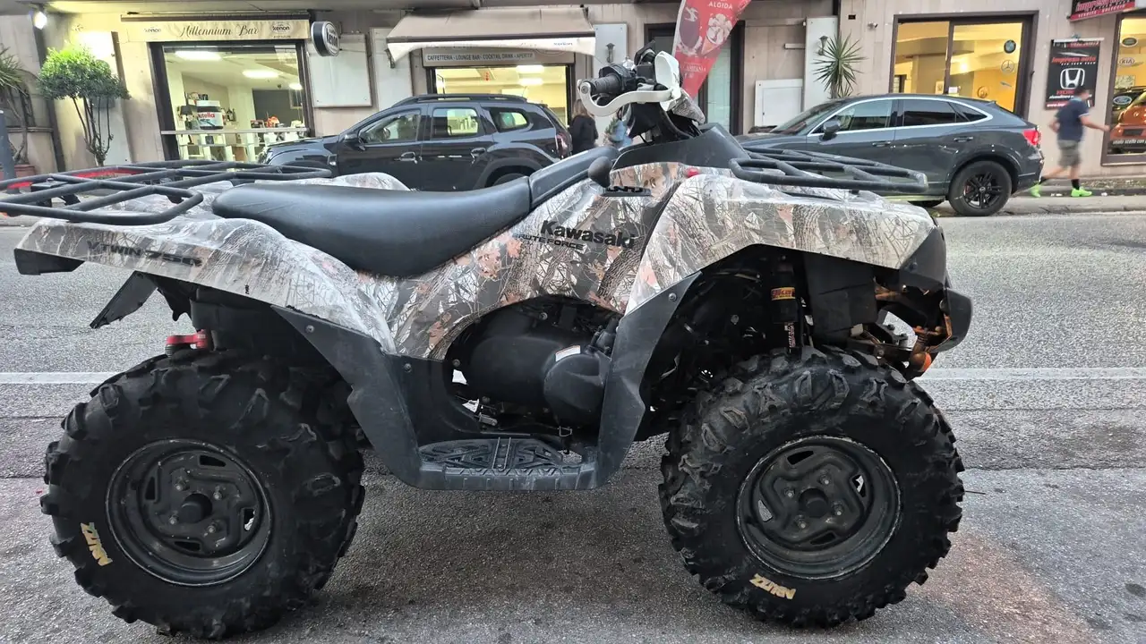 Kawasaki Brute Force 750