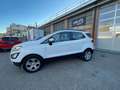 Ford EcoSport EcoSport 1.0 ecoboost Titanium 100cv my19 Blanc - thumbnail 4