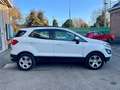 Ford EcoSport EcoSport 1.0 ecoboost Titanium 100cv my19 Blanc - thumbnail 8
