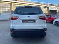 Ford EcoSport EcoSport 1.0 ecoboost Titanium 100cv my19 Blanc - thumbnail 6
