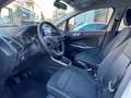 Ford EcoSport EcoSport 1.0 ecoboost Titanium 100cv my19 Blanc - thumbnail 11