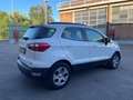 Ford EcoSport EcoSport 1.0 ecoboost Titanium 100cv my19 Blanc - thumbnail 7