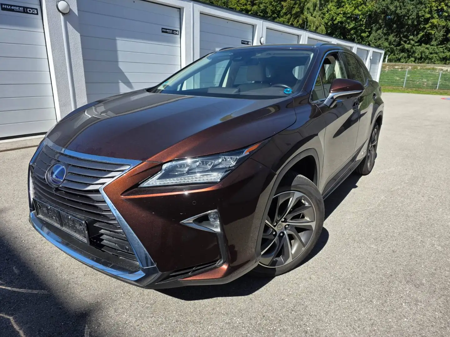 Lexus RX 450h RX 450h 4WD Hybrid Executive Braun - 2