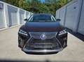 Lexus RX 450h RX 450h 4WD Hybrid Executive Braun - thumbnail 5