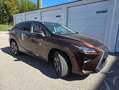 Lexus RX 450h RX 450h 4WD Hybrid Executive Braun - thumbnail 4