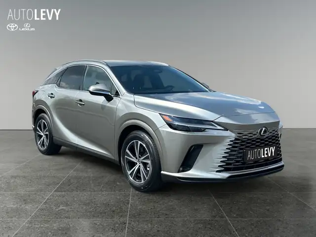 Lexus RX view 8