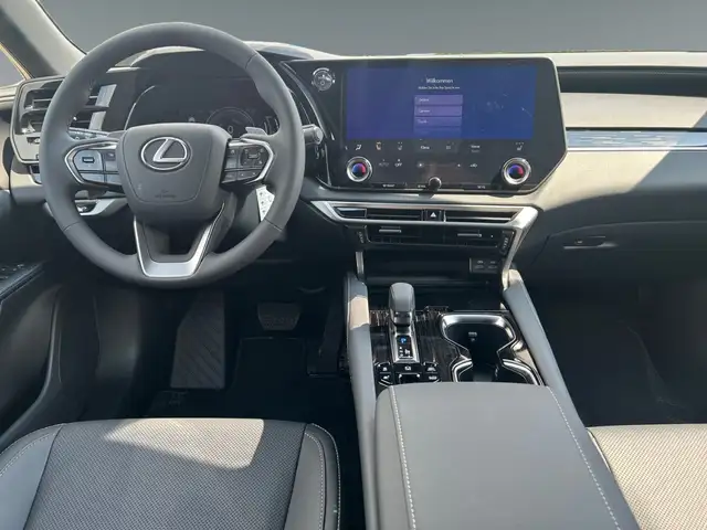 Lexus RX view 11