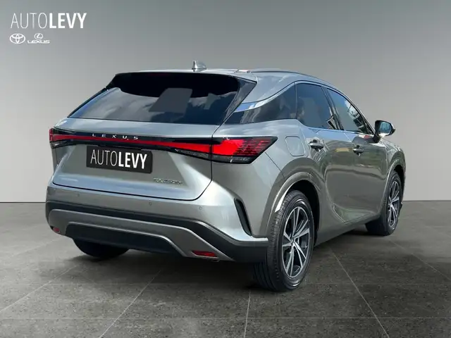 Lexus RX view 6